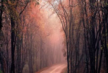 曼联击败热刺，稳固英超前三地位