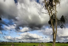 南特再胜一仗，稳坐前茅位置